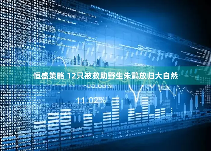 恒盛策略 12只被救助野生朱鹮放归大自然