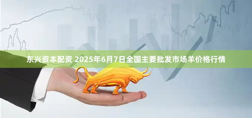 东兴资本配资 2025年6月7日全国主要批发市场羊价格行情