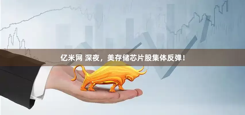 亿米网 深夜，美存储芯片股集体反弹！
